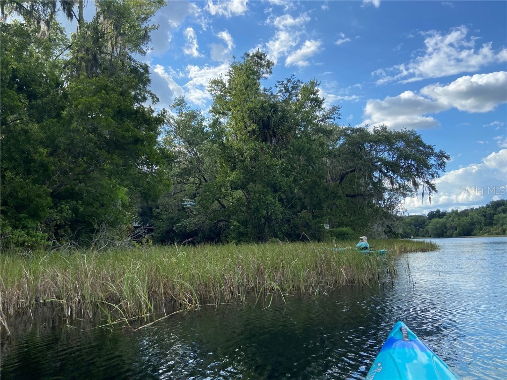 Lot 33 SW 97 Place Dunnellon FL 34431 - THE RAINBOW RIVER OM697254 image22