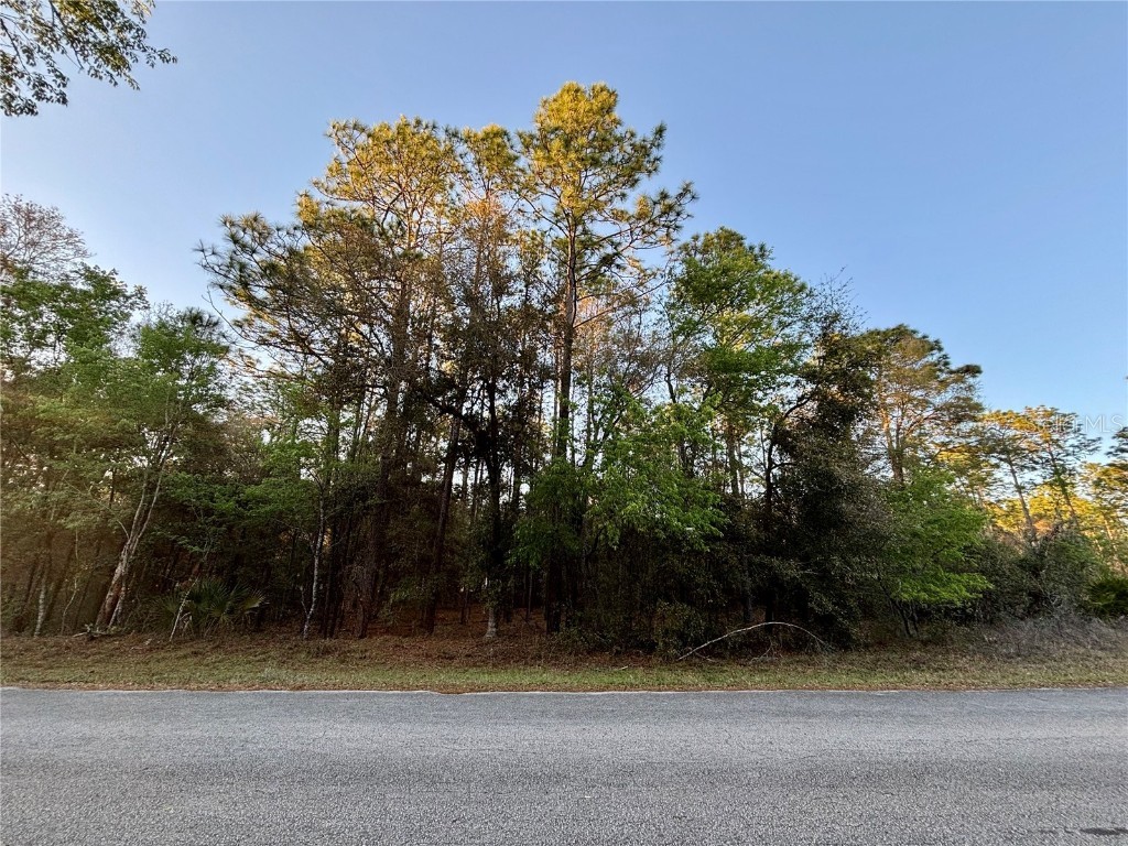 Lot 33 SW 97 Place Dunnellon FL 34431 - THE RAINBOW RIVER OM697254 image3