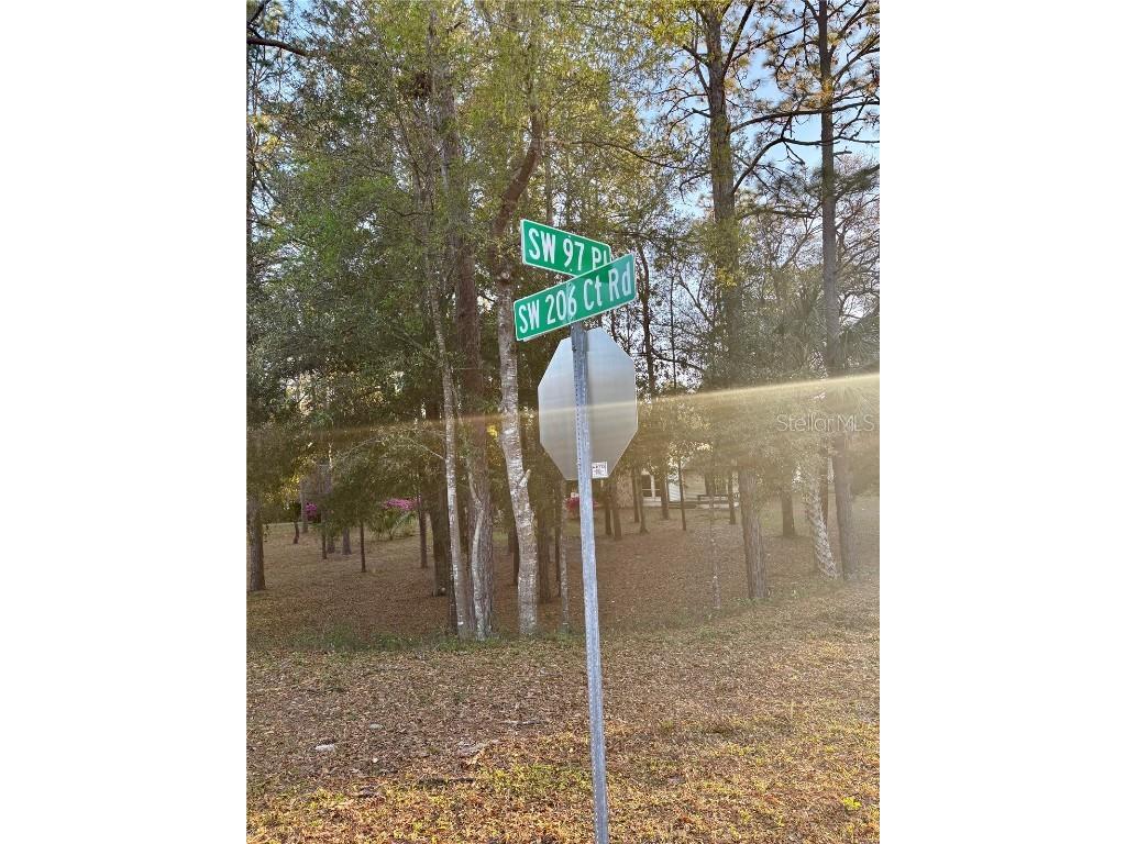 Lot 33 SW 97 Place Dunnellon FL 34431 - THE RAINBOW RIVER OM697254 image6