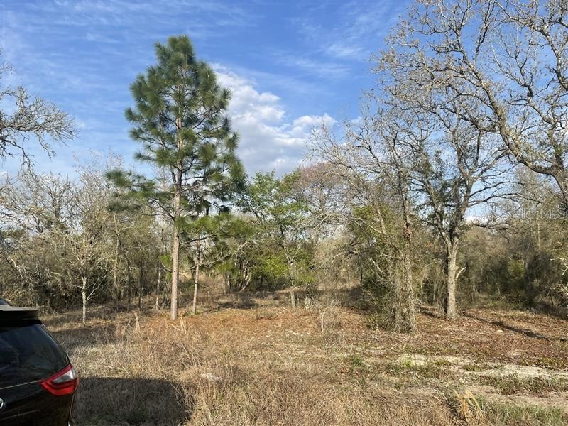 Lot 33 SW Portulaca Court Dunnellon FL 34431 TB8362829 image1