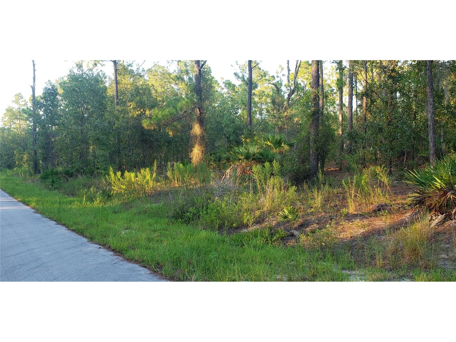Lot 33 SW South View Court Dunnellon FL 34431 OM642154 image1