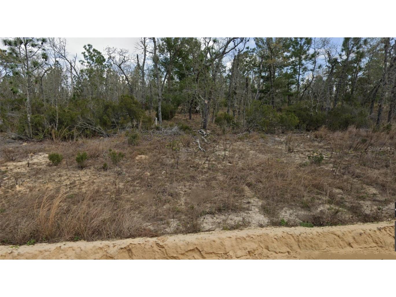 Lot 33 Twin Lakes Blvd Interlachen FL 32148 GC529241 image1