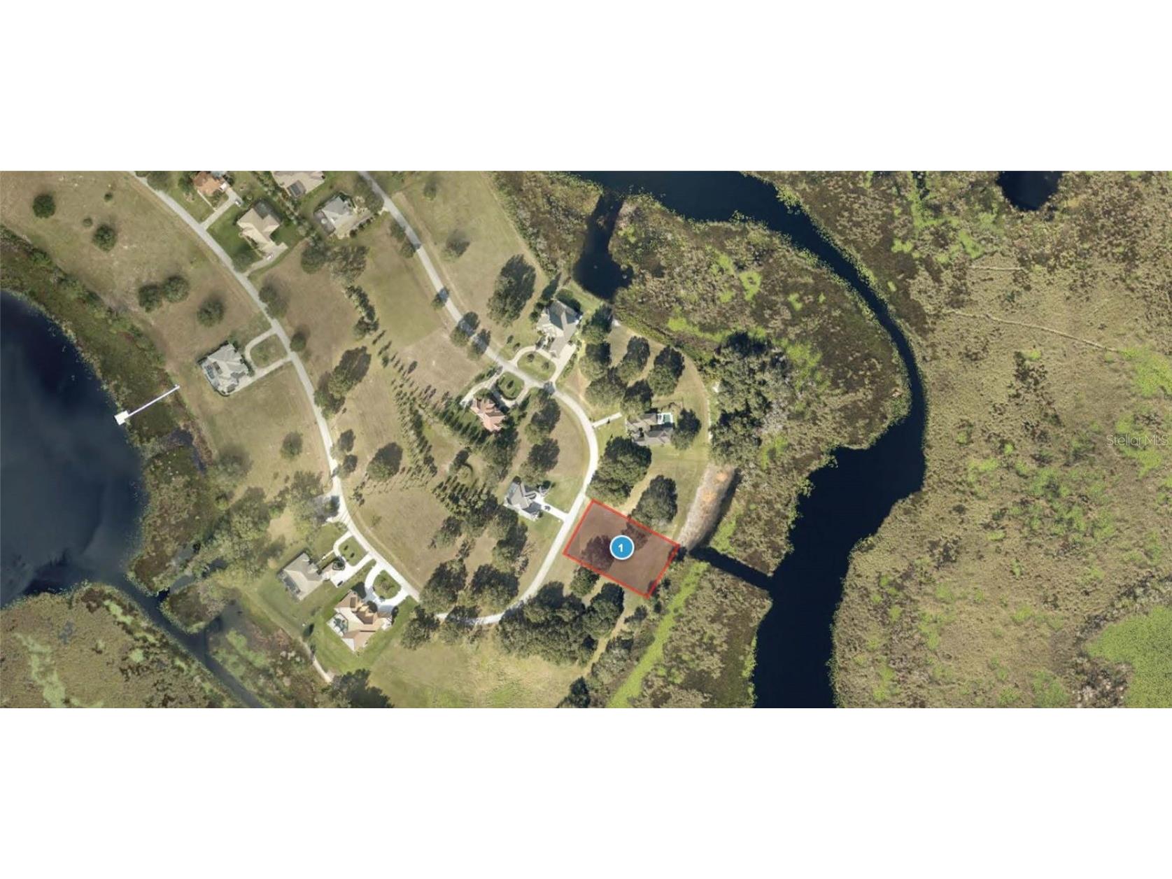 Lot 34 Royal Palm Drive Groveland FL 34736 - PALALATKAHA RIVER T3498438 image1