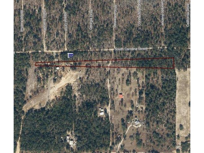 Lot 34 S Carolina Street Hawthorne FL 32640 OM721429 image3