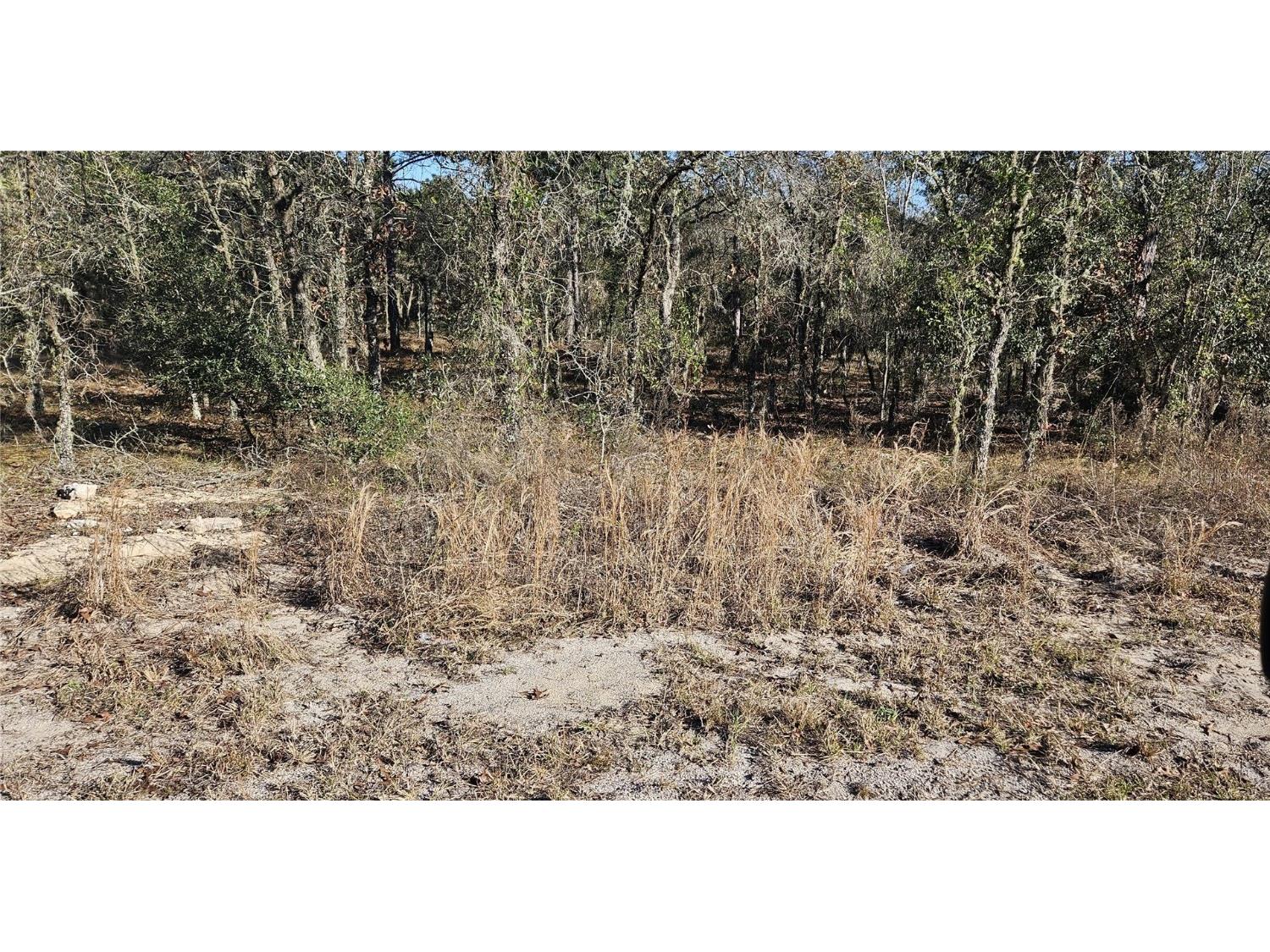 Lot 34 SW Arrow Leaf Trail Dunnellon FL 34431 OM692127 image1