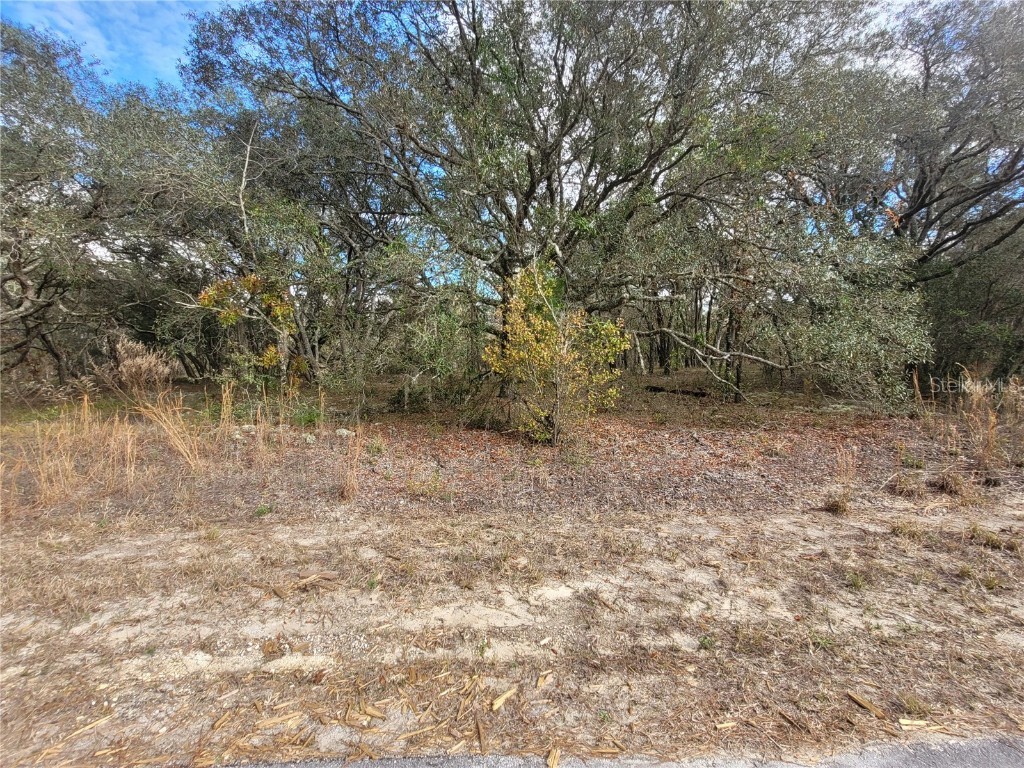 Lot 34 SW Tamiami Place Dunnellon FL 34431 OM670004 image1