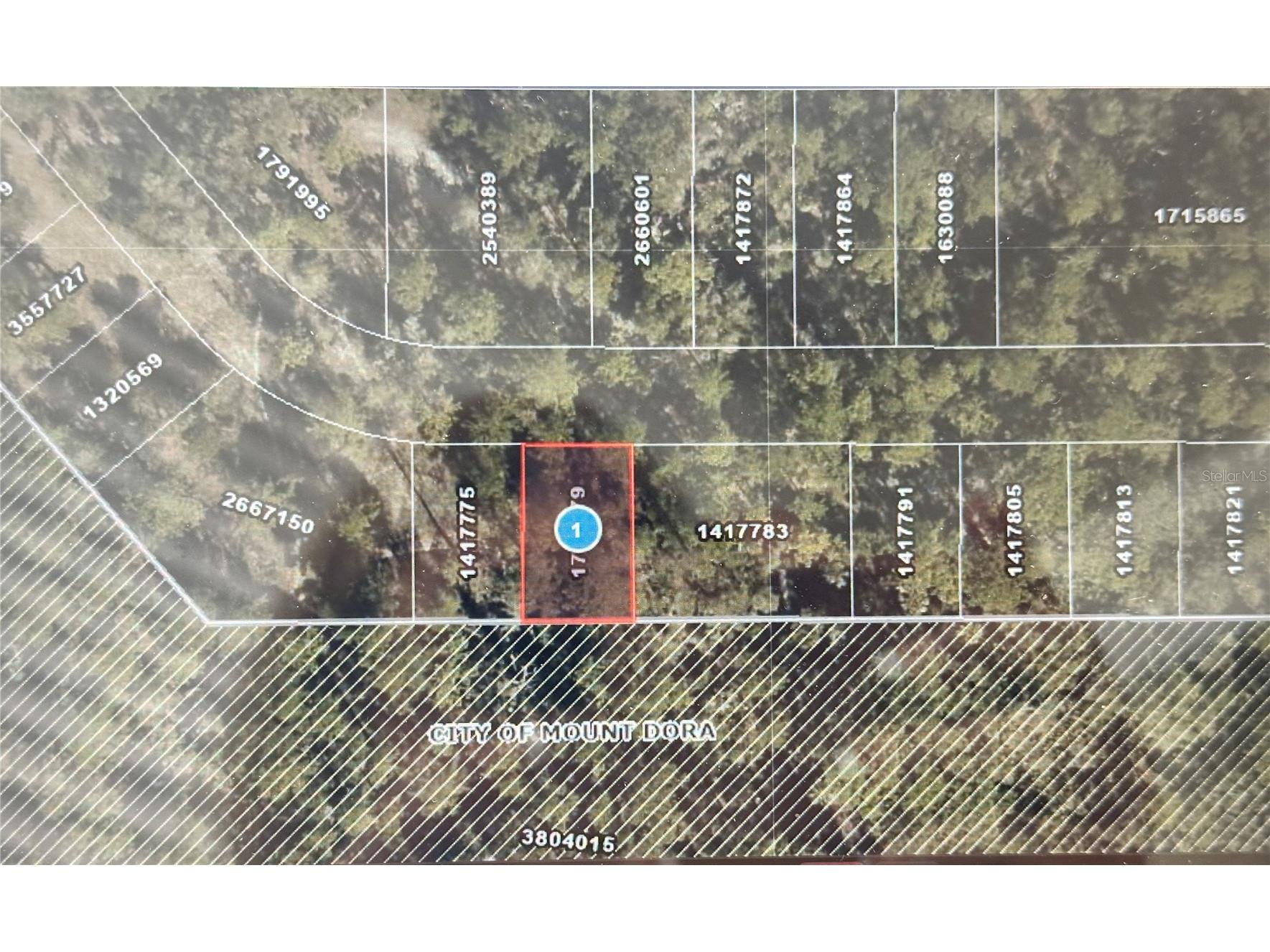 Lot 34 Wolf Branch Rd Mount Dora FL 32757 G5110754 image2