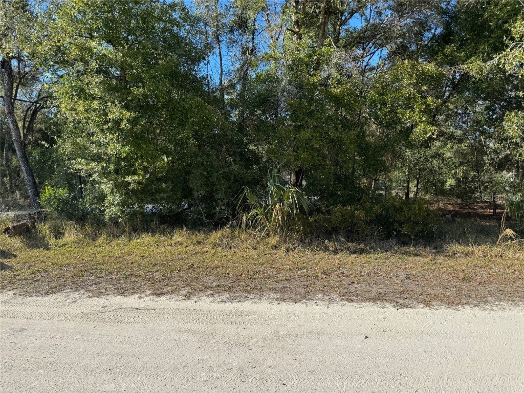 Lot 347 St. George Drive Dunnellon FL 34432 OM694954 image1