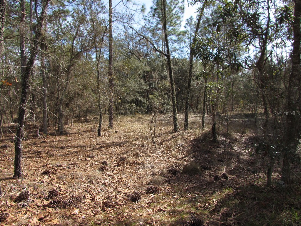 Lot 35 NW Ridgewood Drive Dunnellon FL 34431 OM671946 image1