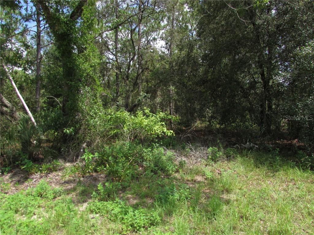Lot 35 SW Sea Cliffe Avenue Dunnellon FL 34431 OM681429 image1