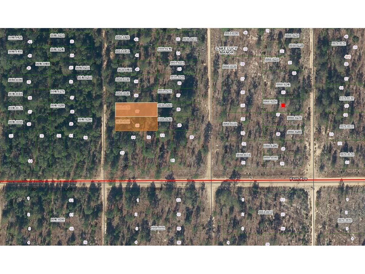 Lot 36 Paxon Interlachen FL 32148 A4669135 image5