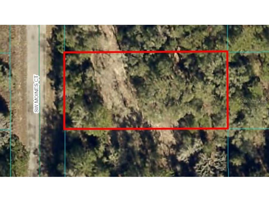Lot 36 SW Monines Court Dunnellon FL 34431 OM693610 image1