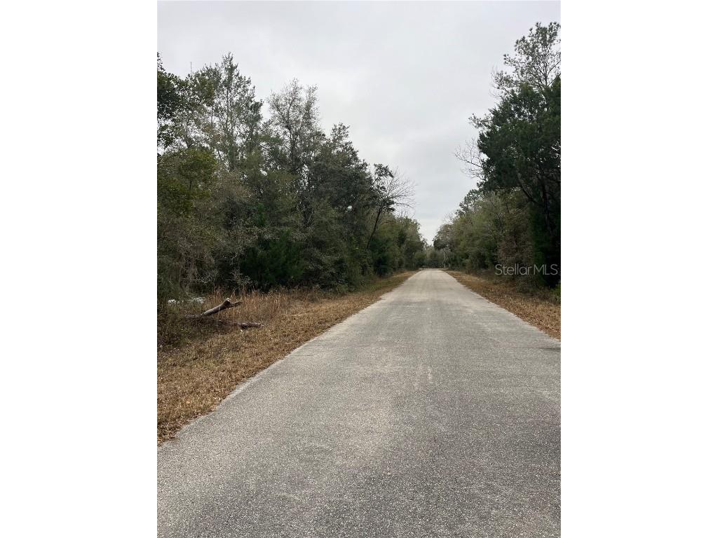 Lot 36 SW Monines Court Dunnellon FL 34431 OM693610 image10