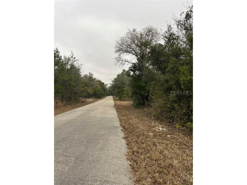 Lot 36 SW Monines Court Dunnellon FL 34431 OM693610 image11