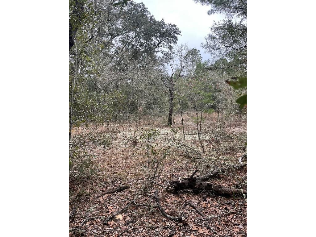 Lot 36 SW Monines Court Dunnellon FL 34431 OM693610 image3