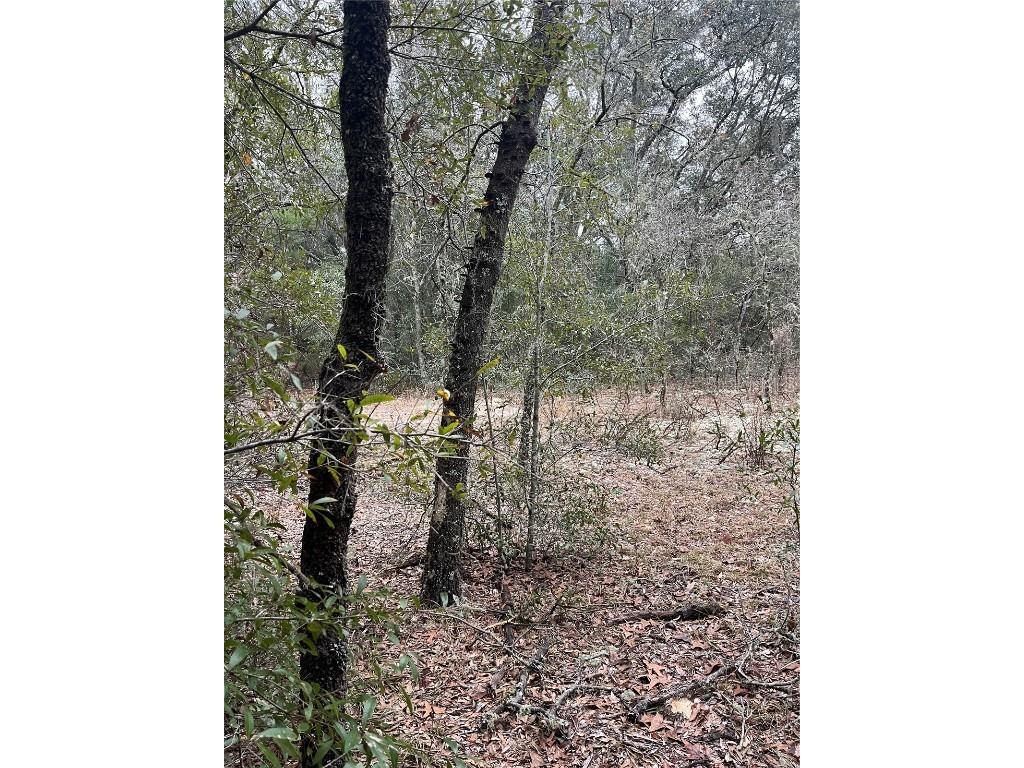 Lot 36 SW Monines Court Dunnellon FL 34431 OM693610 image4