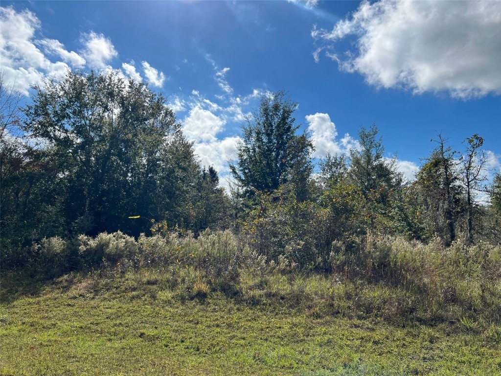 Lot 36 SW Skyline Loop Fort White FL 32038 GC517675 image1