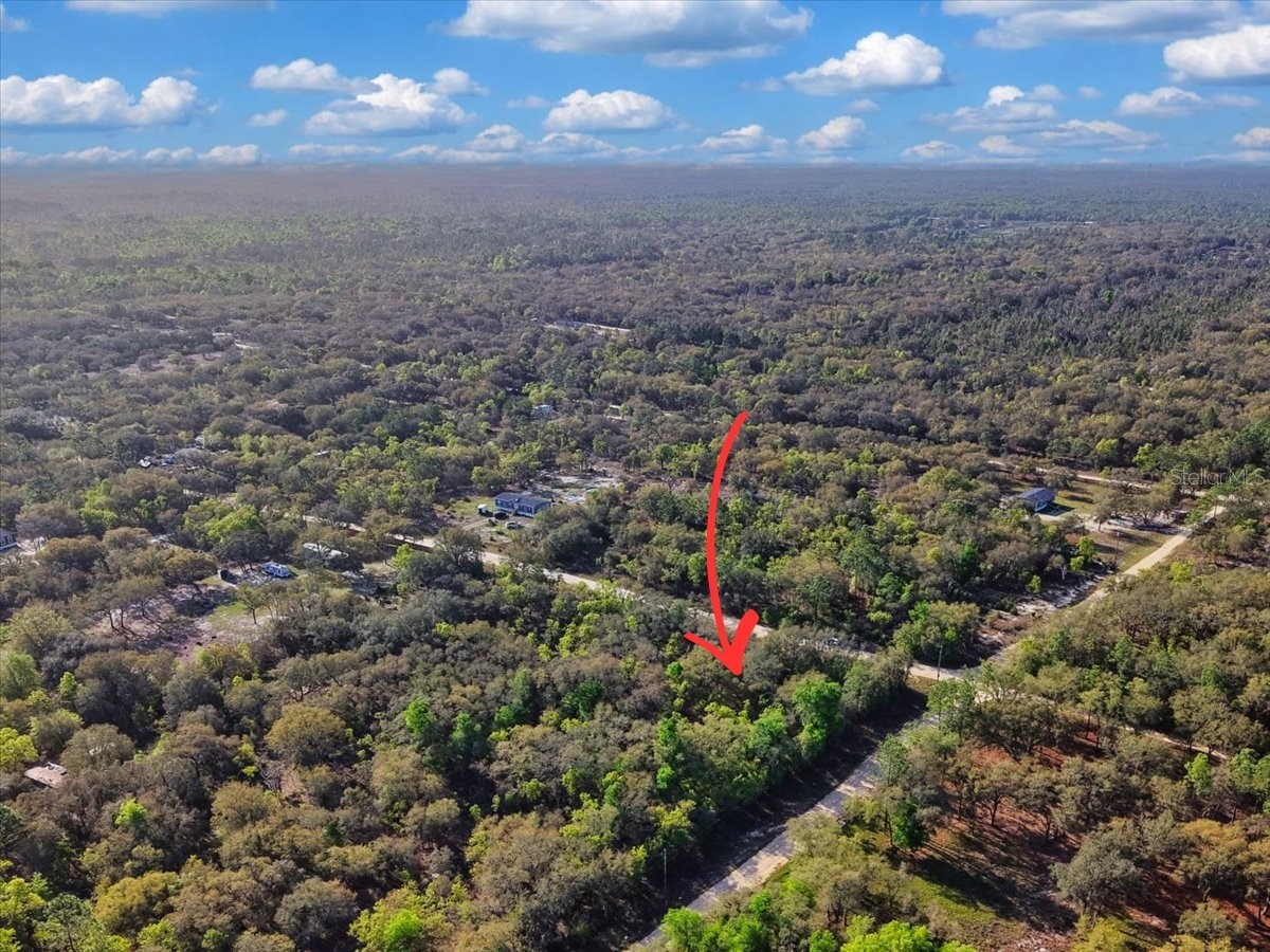Lot 362 NE 82nd Place Bronson FL 32621 GC539516 image12