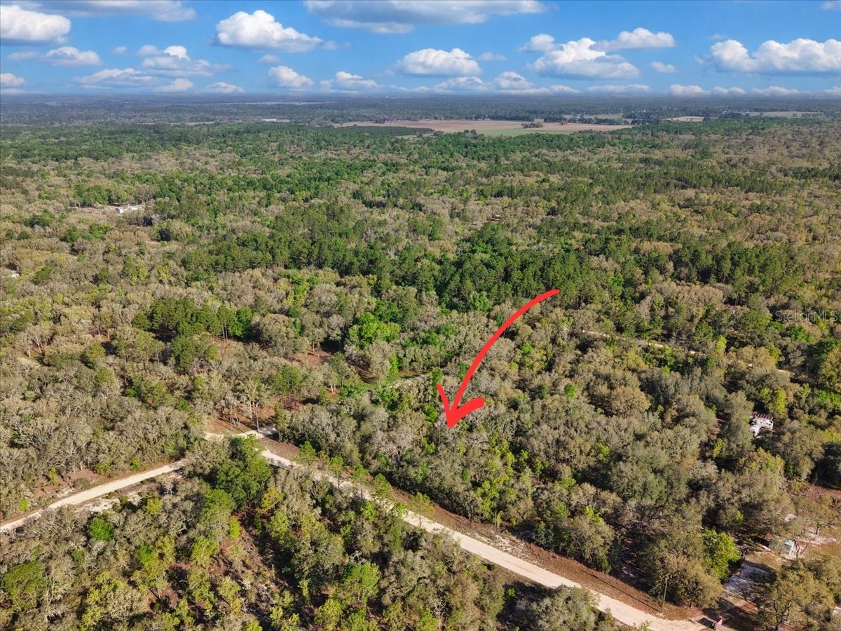 Lot 362 NE 82nd Place Bronson FL 32621 GC539516 image2
