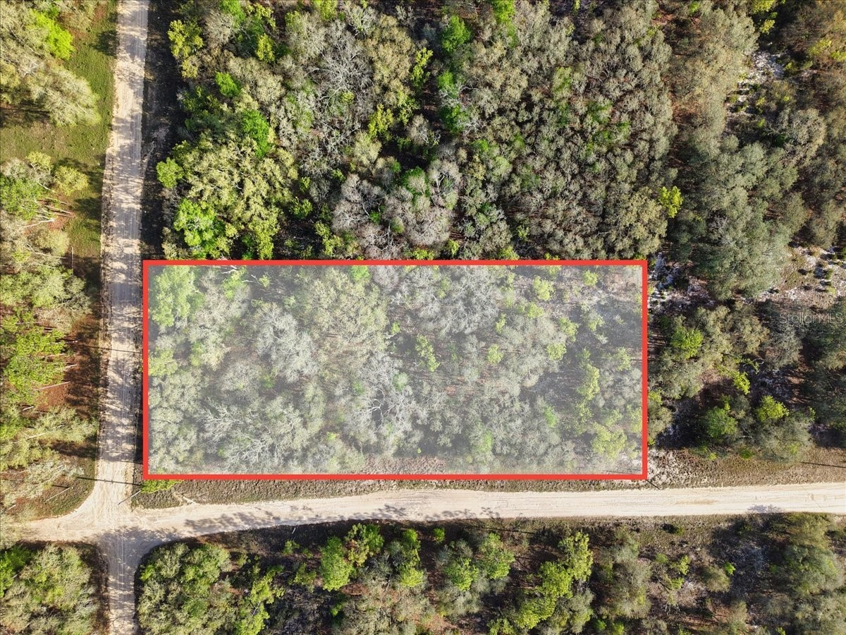 Lot 362 NE 82nd Place Bronson FL 32621 GC539516 image3