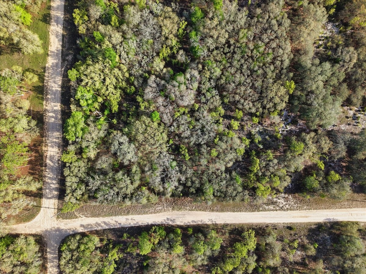 Lot 362 NE 82nd Place Bronson FL 32621 GC539516 image9