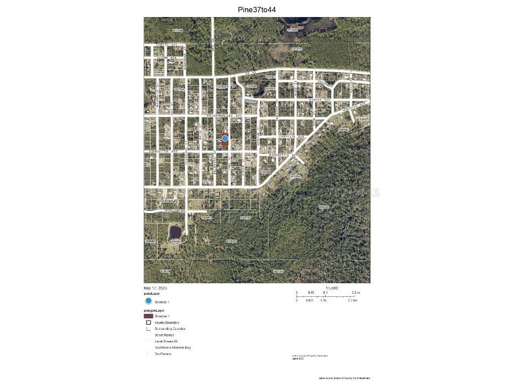 Lot 37-44 Pine Street Paisley FL 32767 G5068931 image1