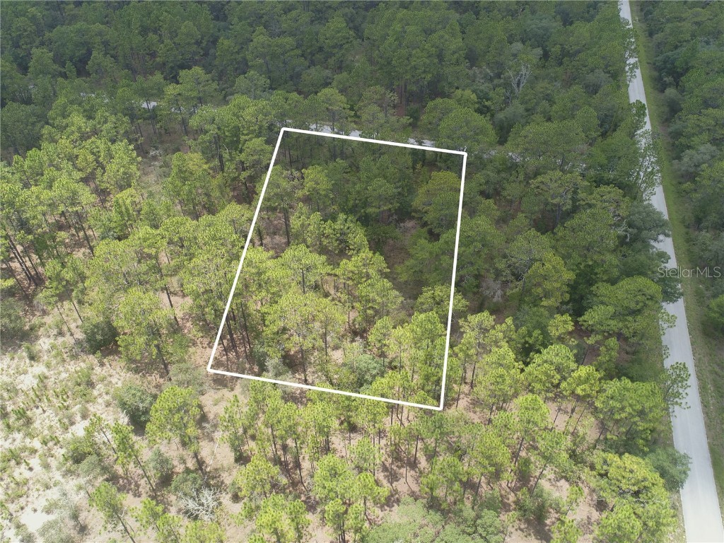 Lot 37 NW Winding Hills Road Dunnellon FL 34431 A4577729 image1