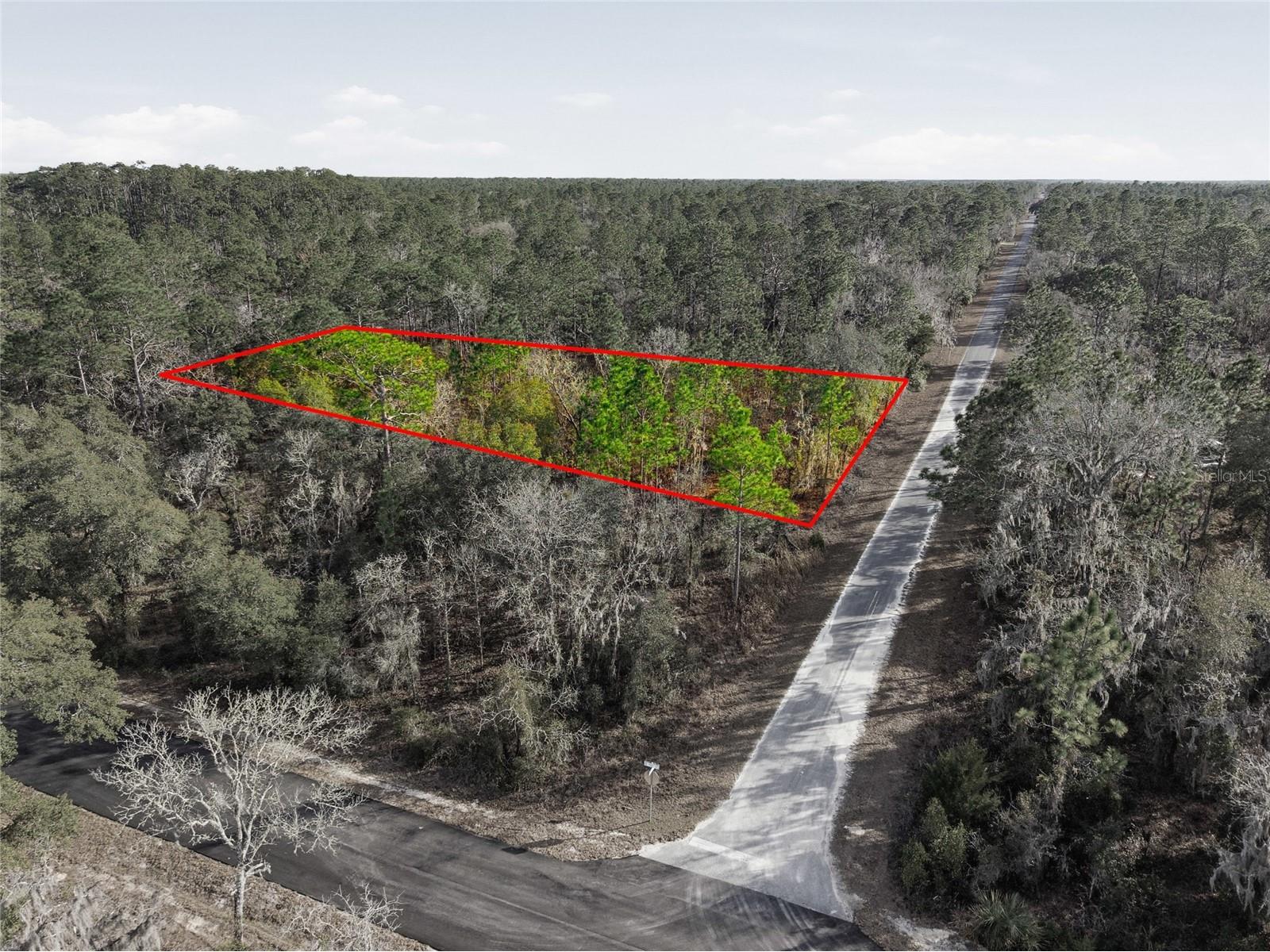 Lot 37 SE 126th Terrace Dunnellon FL 34431 - LAKE BONABLE AND TIGER LAKE OM717544 image1