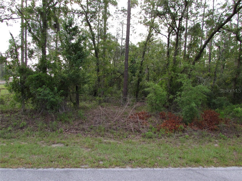 Lot 37 SW Hunter Hill Avenue Dunnellon FL 34431 - LAKE BONABLE & TIGER LAKE OM701148 image1