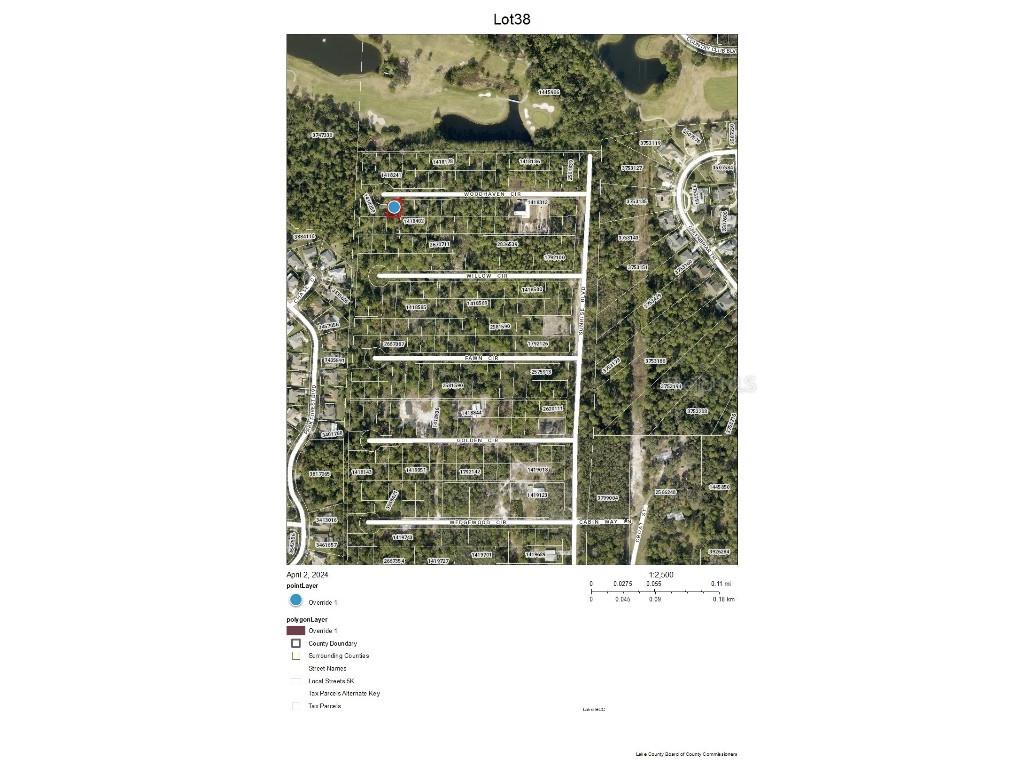 Lot 38 Chase Court Mount Dora FL 32757 G5080396 image1