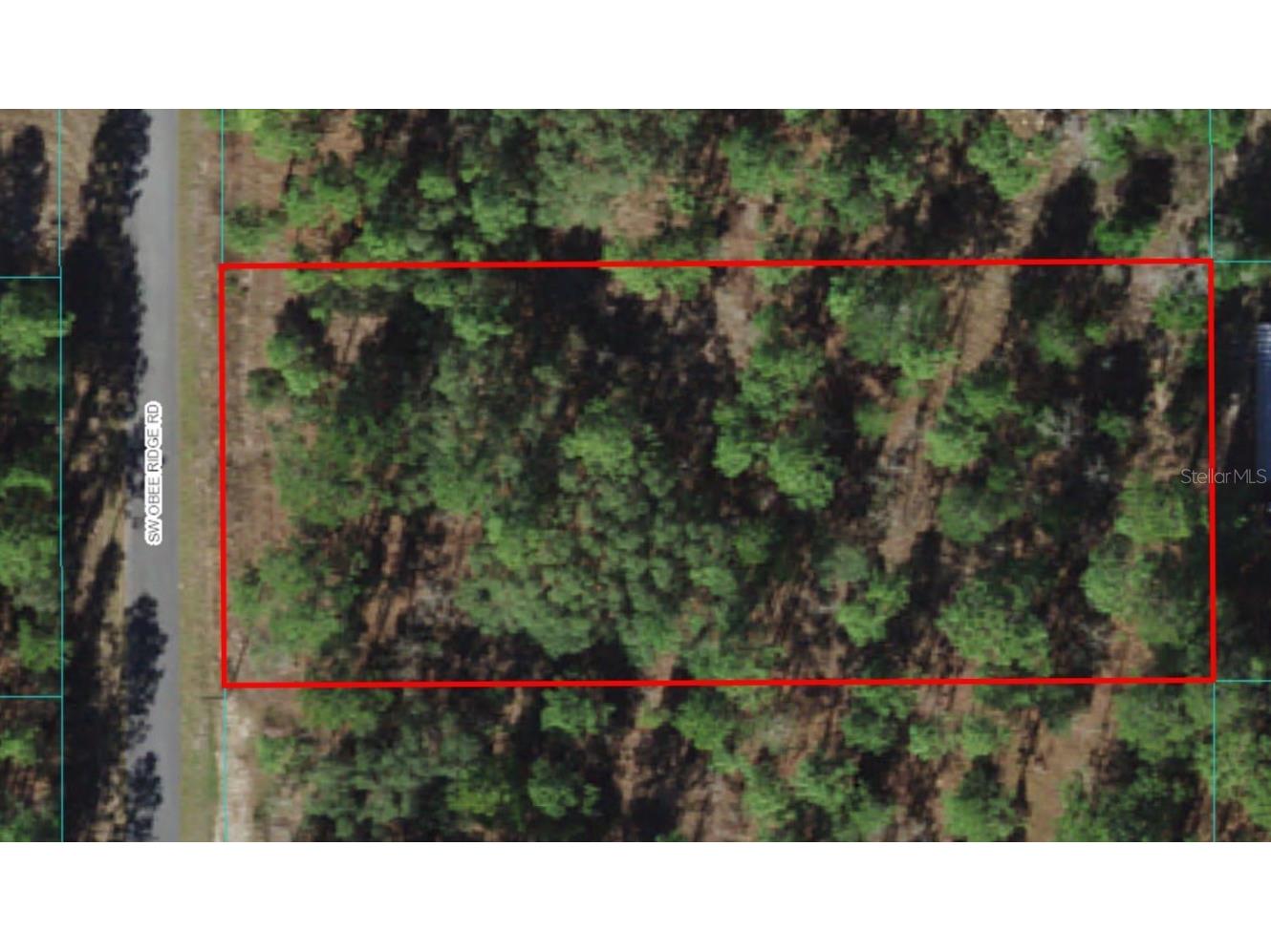 Lot 38 SW Obee Ridge Road Dunnellon FL 34431 OM630776 image1