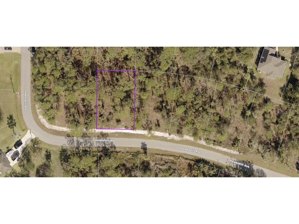 Lot 39 Hawksbill Avenue North Port FL 34291 C7484524 image1