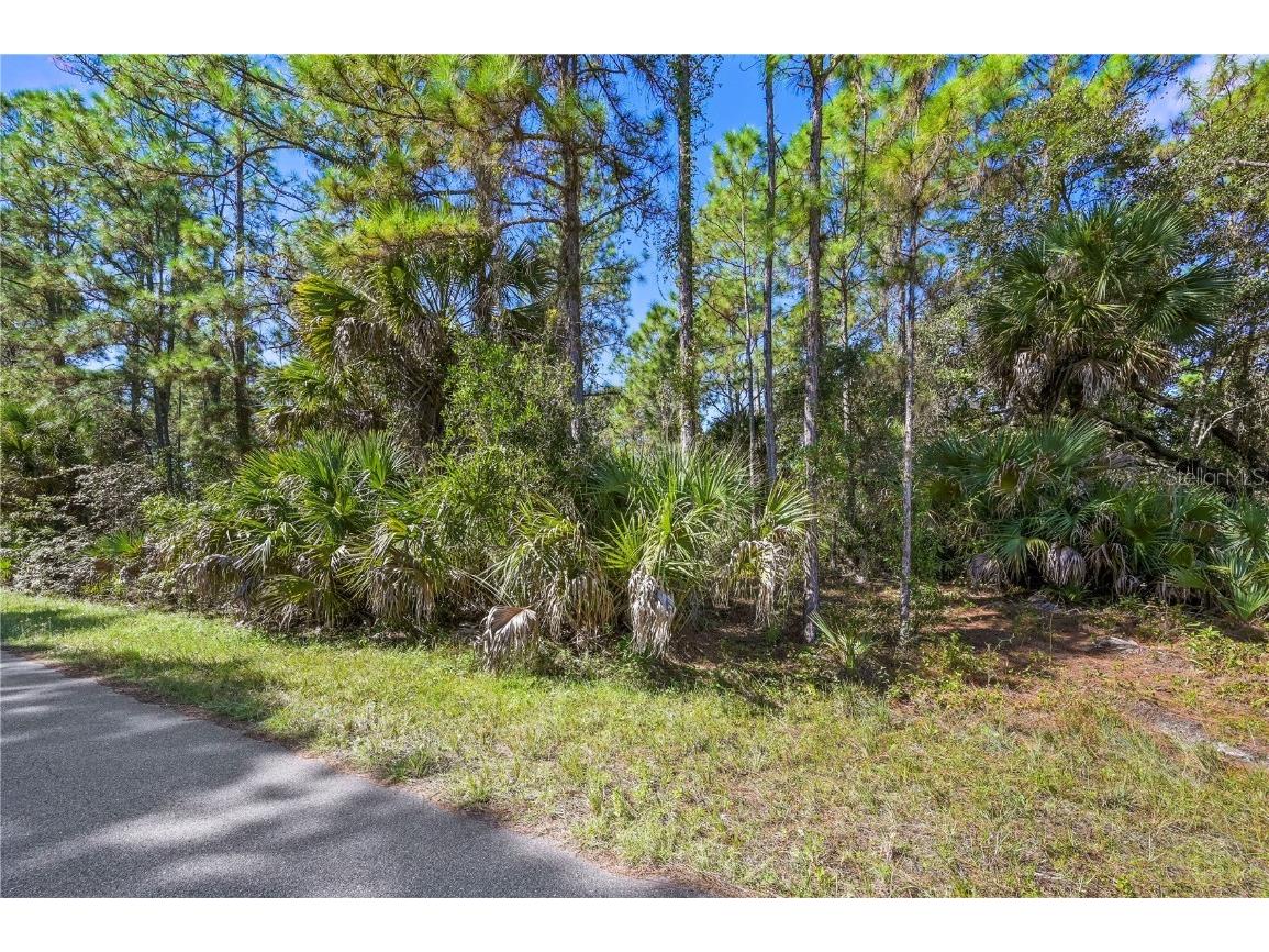 Lot 39 Merced Street North Port FL 34288 C7450425 image1