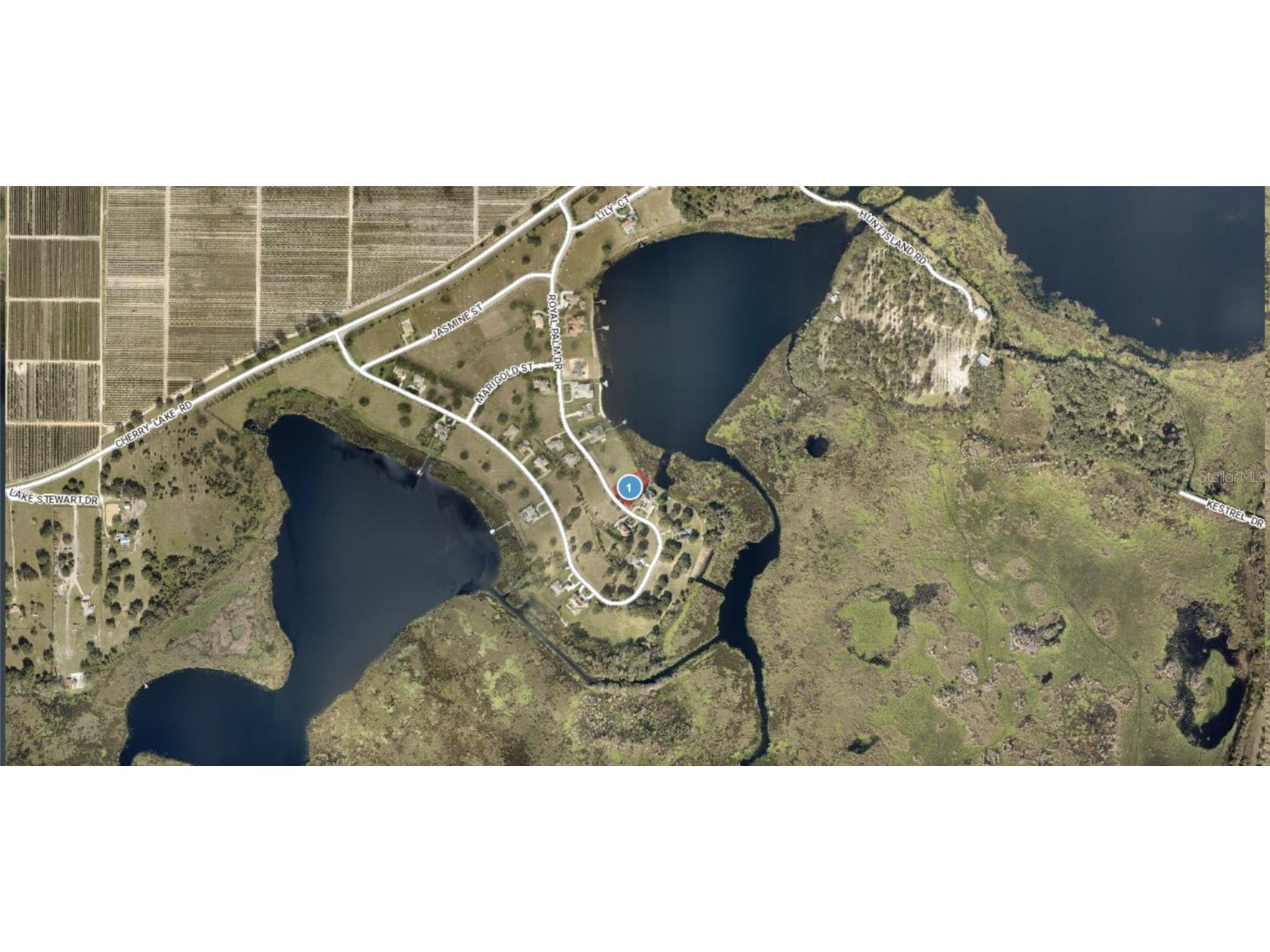 Lot 39 Royal Palm Drive Groveland FL 34736 - LAKE HUNT TB8371160 image2