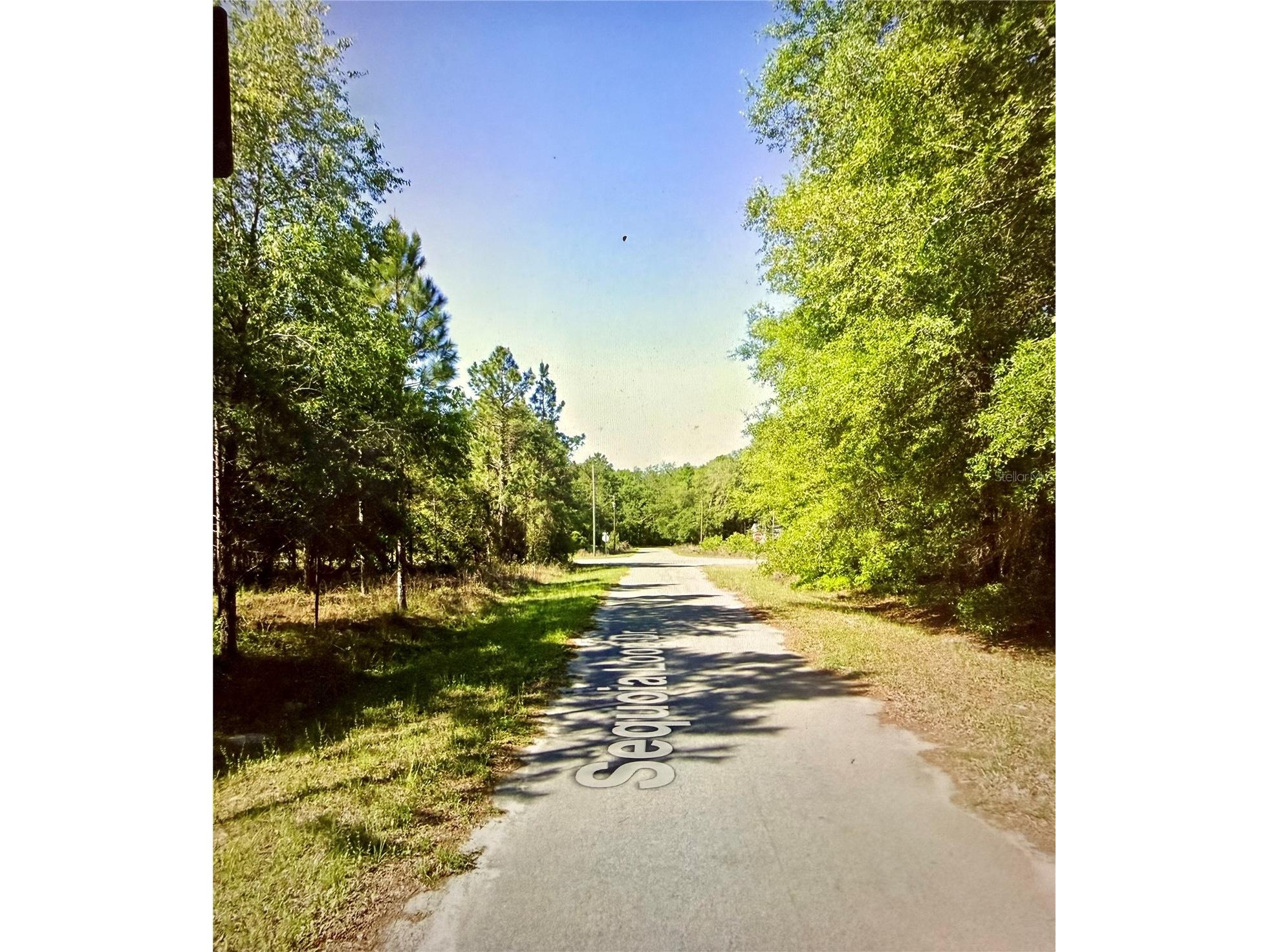 Lot 39 SE Sequoia Loop Drive Ocklawaha FL 32179 A4695695 image1