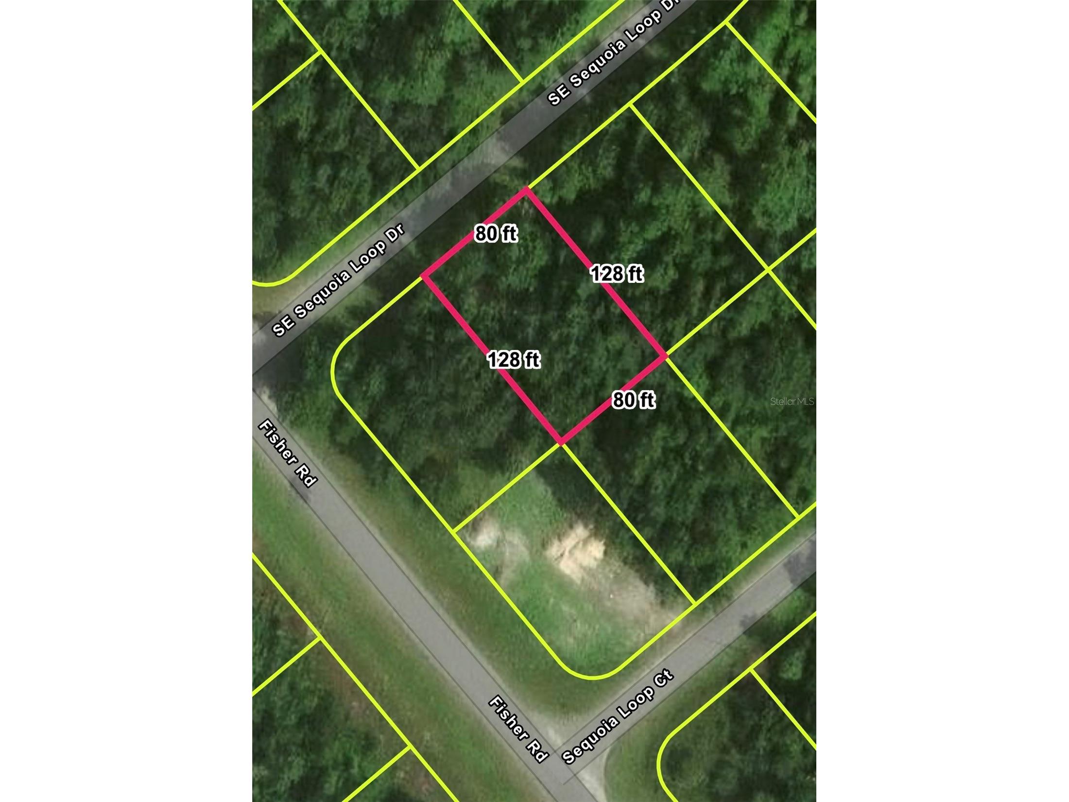 Lot 39 SE Sequoia Loop Drive Ocklawaha FL 32179 A4695695 image2