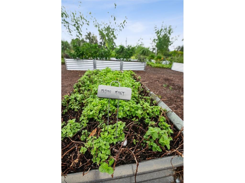 Lot 39 SW 124th Way Archer FL 32618 GC530157 image9