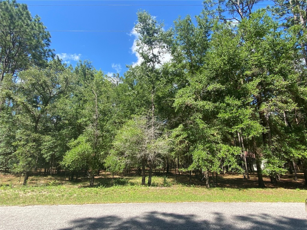 Lot 39 SW 75 Loop Dunnellon FL 34432 - RAINBOW SPRINGS OM658799 image1