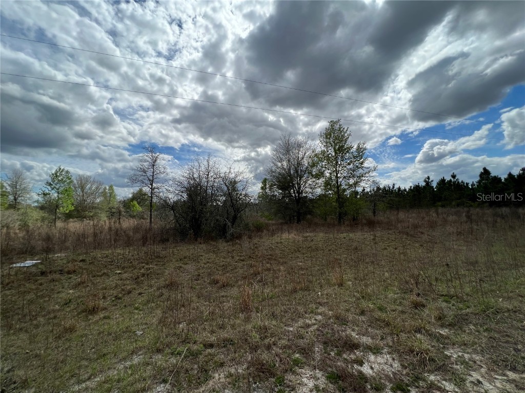 Lot 4 64th Place Live Oak FL 32064 O6010408 image1