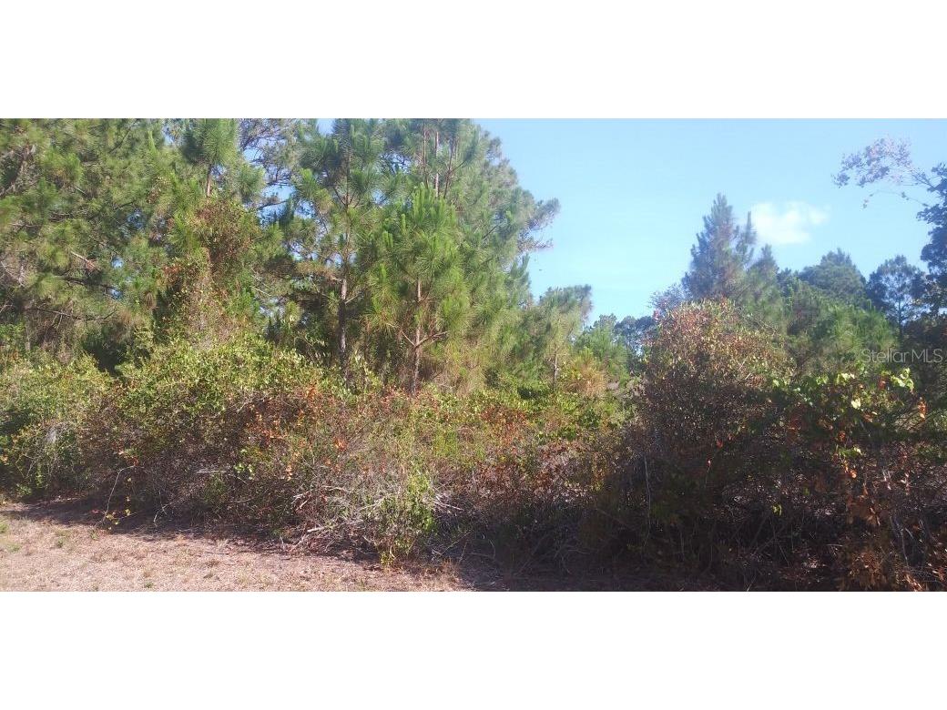 Lot 4 Alwood Street North Port FL 34291 N6134171 image1