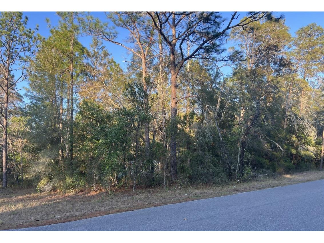 Lot 4+ Blair Avenue Brooksville FL 34604 W7881517 image1