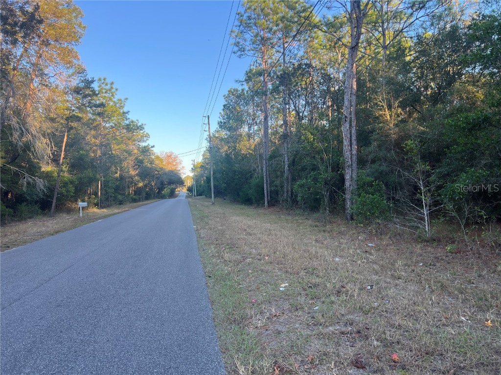 Lot 4+ Blair Avenue Brooksville FL 34604 W7881517 image13