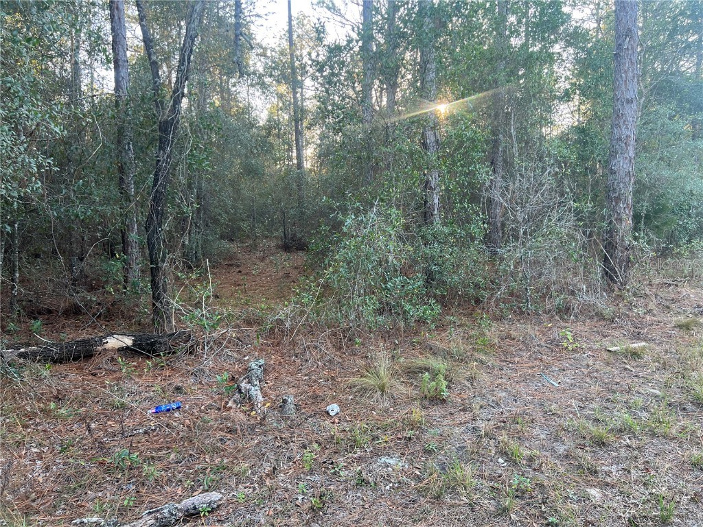 Lot 4+ Blair Avenue Brooksville FL 34604 W7881517 image4