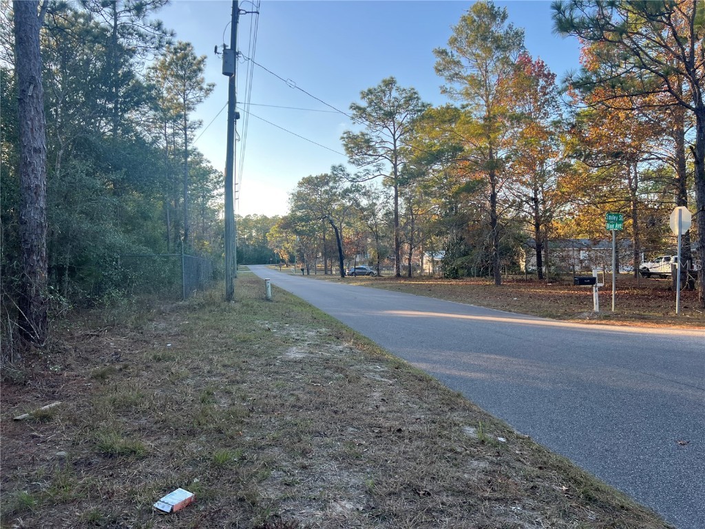 Lot 4+ Blair Avenue Brooksville FL 34604 W7881517 image5