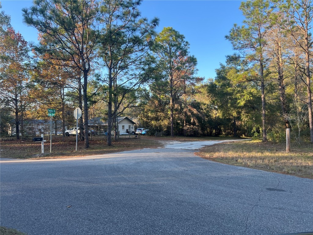 Lot 4+ Blair Avenue Brooksville FL 34604 W7881517 image6