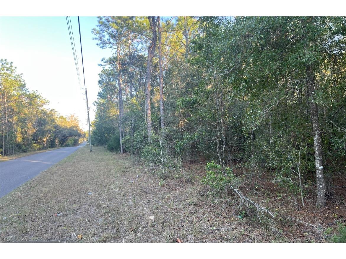Lot 4+ Blair Avenue Brooksville FL 34604 W7881517 image7