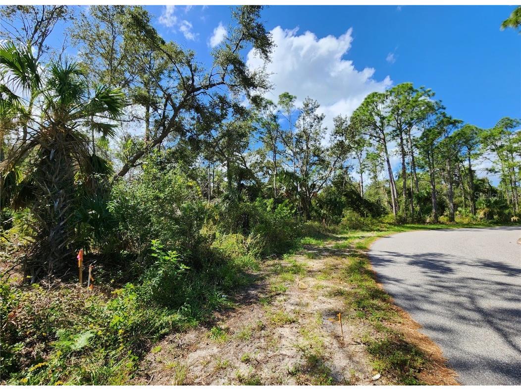 Lot 4 Jagust Road North Port FL 34288 A4640086 image14