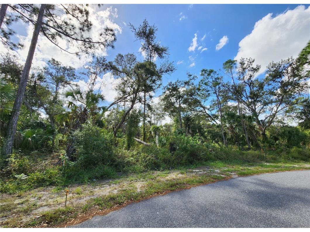Lot 4 Jagust Road North Port FL 34288 A4640086 image15