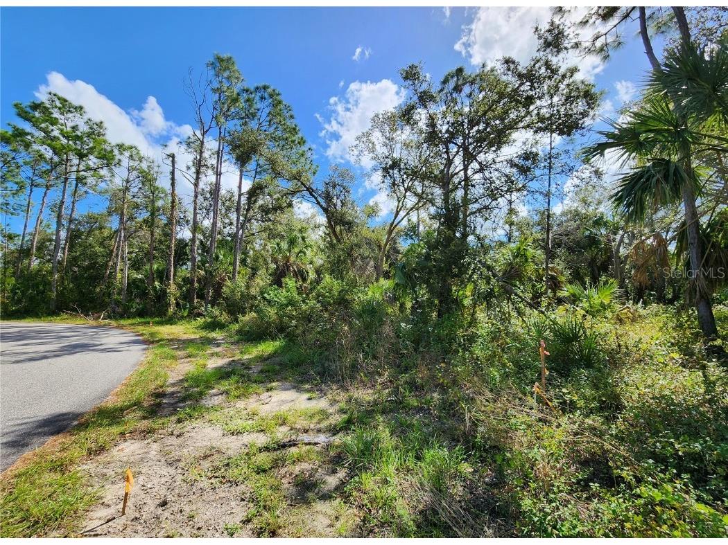 Lot 4 Jagust Road North Port FL 34288 A4640086 image17