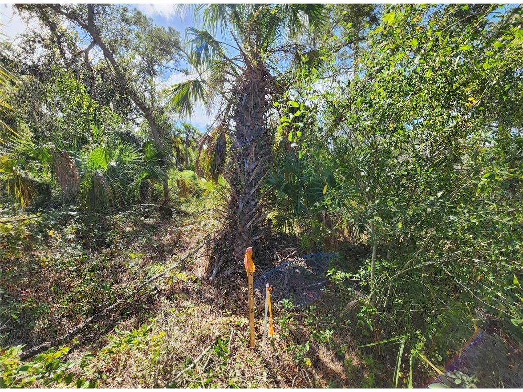 Lot 4 Jagust Road North Port FL 34288 A4640086 image18